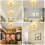 Rayofly Modern Crystal Chandeliers Ceiling Light, Firework 5