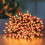 Premier 1000 LED 25m Premier TreeBrights Christmas Tree Lights 5