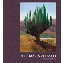 Jose Maria Velasco by Daniel Sobrino Ralston Hardcover Book