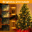 litogo Christmas Tree Lights 480LED Mains Powered, Warm 3