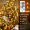 litogo Christmas Tree Lights 480LED Mains Powered, Warm 2