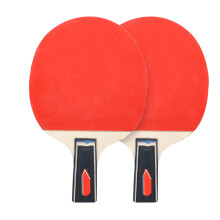 Raquette Pong Bois Avec Poignée Antidérapante Multicolore Sport