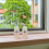 120Pcs Round Nursery Plant Starter Pots Pulp for Garden 11