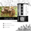 Black Garlic | Whole Cloves - 250g / 9 Oz 4