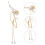 3Paires D'oreille Dorés Style Pour Et Cosplay 10