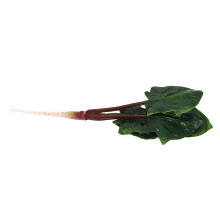 2Pièces Épinard Factice Vert Réaliste Pour Décor Photo Éducatif