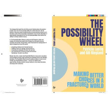 The Possibility Wheel by Gill Ringland Paperback Book