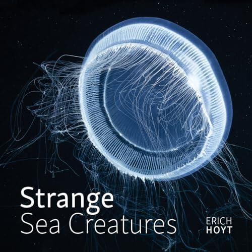 Strange Sea Creatures by Erich Hoyt Paperback Book