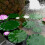 24Stk Simulation Große Wasserpflanzen Blätter, Schwimmende Grün 11