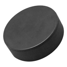 2Pièces Palets Hockey PU Résistants Usage Maison Enfants Adultes