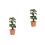 2St Mini Poppenhuis Perenboom DIY Creatief Mini Trèe Model Multicolor 10