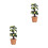 2St Mini Poppenhuis Perenboom DIY Creatief Mini Trèe Model Multicolor 5