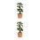 2St Mini Poppenhuis Perenboom DIY Creatief Mini Trèe Model Multicolor 8