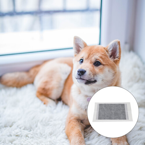 30Pièces Absorbant Pour Animaux Safe Non 2
