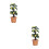 2St Mini Poppenhuis Perenboom DIY Creatief Mini Trèe Model Multicolor 4