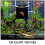 Black Acrylic Isolation Box for Fish Tank Breeding and Hatching 8