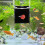 Black Acrylic Isolation Box for Fish Tank Breeding and Hatching 5