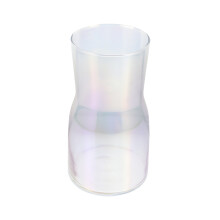 2Pcs Clear Glass Hydroponic Vase Simple Chic Flower Holder for Home