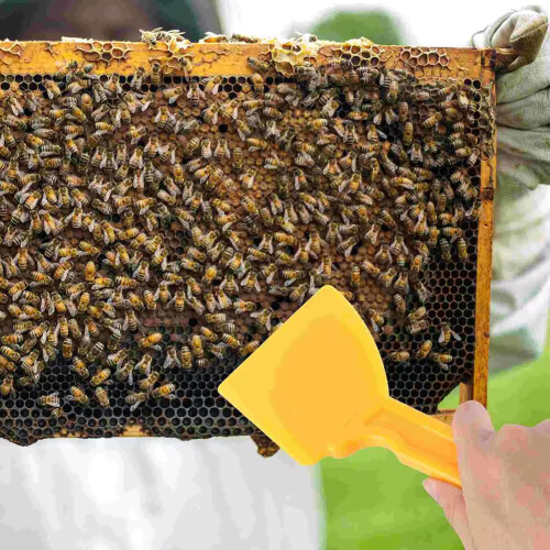 Honey Spatula Honey Extractor Honey Scraper Collecting Tool Practical Beekeeping Tool Beekeeping Supplies for Beekeeper 2