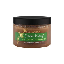 Bath & Body Works Eucalyptus Spearmint Stress Relief Scrub 13 Ounce
