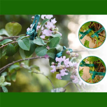 Gardening Clip Phalaenopsis Clip Plant Garden Clip Set Tomato Plant Clip Plastic Clip