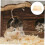 1PCS Rabbit Grinding Board Rabbit Scratch Pad Hamster Scratching Pad Rabbit Toys Bunny Scratch Board Hedgehog 4