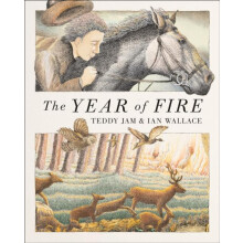 The Year of Fire by Teddy Jam Hardcover Book