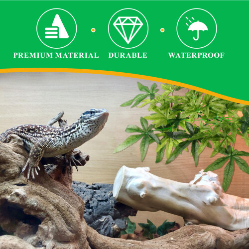 Crawling Haustierfutterbecken Kletterhaustier Aquarium Harz Grau 2