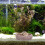 Crawling Haustierfutterbecken Kletterhaustier Aquarium Harz Grau 4
