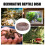 Crawling Haustierfutterbecken Kletterhaustier Aquarium Harz Grau 5