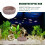 Crawling Haustierfutterbecken Kletterhaustier Aquarium Harz Grau 6