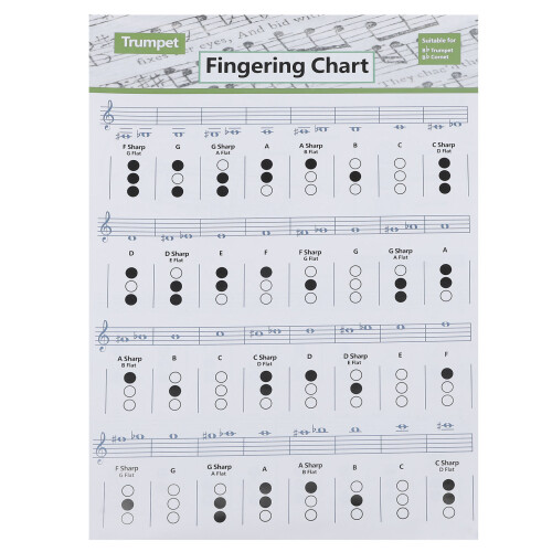 7Pcs Professional Trumpet Chord Chart White Easy Read Wall Poster 1