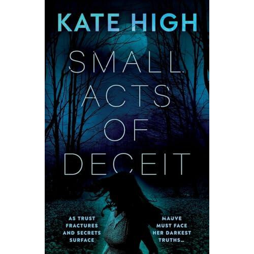 Small Acts of Deceit by Kate High Paperback Book