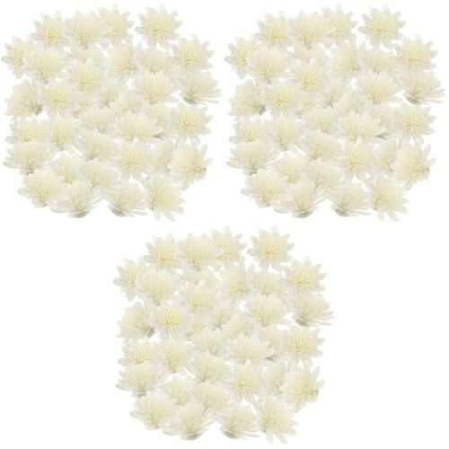 300Stk Weiße Pe Chrysanthemen Aroma Zubehör Für Diffuser 2