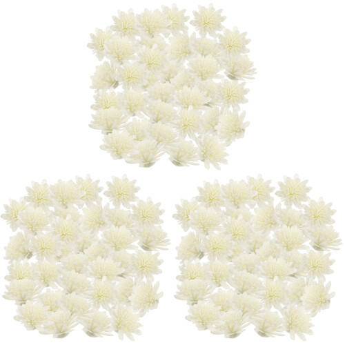 300Stk Weiße Pe Chrysanthemen Aroma Zubehör Für Diffuser 1