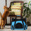 2Pièces Chat Respirant Durable Transport Extérieur 3