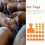 100Pcs Durable Orange Cow Ear Tags Flexible Tpu Animal Identification 7
