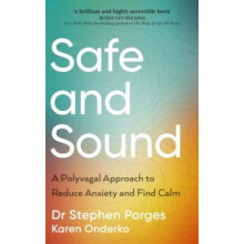 Safe and Sound by Karen Onderko Paperback Book