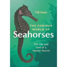 The Curious World of Seahorses by Till Hein Hardcover Book