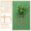 Porte-Plante Mural En Tubes Propagation 4