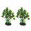 4Pièces Décorations Véritables Plantes Pour Aquarium 3