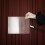 Invisible Pet Lenticular Lens Board for Magician Stage Illusion 4
