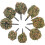 Small Plant Tuft Plastic Bush Cluster for Miniature Landscape Use 3