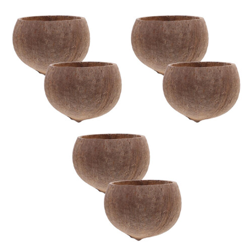 6Pcs Pet Feeding Bowls Coconut Shell Large Capacity Dark Brown Set 2