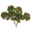 12Pcs Realistic Red Plastic Trees for Diorama Use 3