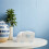 Familie Opbergbox Capaciteit Plastic Multi Kleur 5