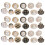220St Afneembare Knopen Set Voor Kleding Jas Decor Accessoires 1