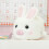 4St Wit Dierlijk Wind-Up Speelgoed Leuk Kindercadeau 6
