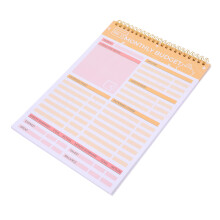 4St Financieel Planner Notitieboek, , Handzaam En Praktisch