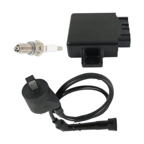 3089613 Ignition Coil  CDI Box Fit for   500 2005-2007 1